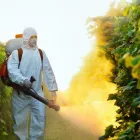 La imagen 2 de la Empresa ABC FUMISERVICES FUMIGACIONES Y EXTINTORES S.A.S Servicio de control de plagas en Bucaramanga SAN