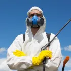 La imagen 3 de la Empresa ABC FUMISERVICES FUMIGACIONES Y EXTINTORES S.A.S Servicio de control de plagas en Bucaramanga SAN