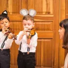 La imagen 1 de la Empresa ACADEMIA MUSICAL ALLEGRETO Tienda de instrumentos musicales en Bucaramanga SAN