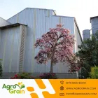 La imagen 3 de la Empresa AGROGRAIN S.A. Servicio agrícola en Sabaneta ANT