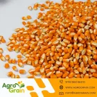 La imagen 4 de la Empresa AGROGRAIN S.A. Servicio agrícola en Sabaneta ANT