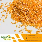 La imagen 7 de la Empresa AGROGRAIN S.A. Servicio agrícola en Sabaneta ANT