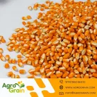 La imagen 9 de la Empresa AGROGRAIN S.A. Servicio agrícola en Guadalajara De Buga VAC