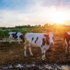 La imagen 1 de la Empresa AGROINVER S.A.S Servicio de inversión en Barranquilla ATL