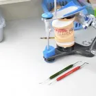 La imagen 2 de la Empresa ALBA MERY BEDOYA AYALA - LABORATORIO DENTAL Tienda de productos cosméticos en Buga VAC