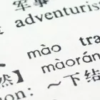 La imagen 3 de la Empresa ALIANZA TRADUCCIONES Servicio de traducción en Medellín ANT