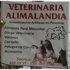 La imagen 2 de la Empresa ALIMALANDIA VETERINARÍA Veterinario en Ibagué TOL