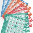 La imagen 5 de la Empresa ALTO IMPACTO BINGOS Y JUEGOS en Bogota DC