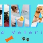 La imagen 1 de la Empresa ANIMAIA CLÍNICA VETERINARIA Veterinario en Cali VAC