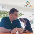 La imagen 4 de la Empresa ANIMAIA CLÍNICA VETERINARIA Veterinario en Cali VAC