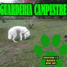 La imagen 1 de la Empresa ANIMALEJOS Veterinario en Medellín ANT