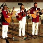 La imagen 5 de la Empresa ARENAS HERMANOS TRIO CUMANDAY Orquesta en Manizales CAL