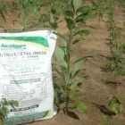 La imagen 5 de la Empresa ASEQUIMAGRO Servicios agrícolas en Bucaramanga SAN