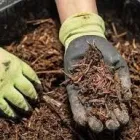 La imagen 1 de la Empresa ASESORÍAS Y SOLUCIONES EFICIENTES AMBIENTALES SAS Recogida y tratamiento de basura en Cali VAC