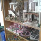 La imagen 4 de la Empresa ASOCIACIÓN CRISTIANA FEMENINA YWCA MEDELLÍN Trabajo social en Medellín ANT