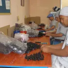 La imagen 5 de la Empresa ASOCIACIÓN LA GRAN ALTERNATIVA Recursos para discapacitados en Cali VAC
