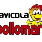 La imagen 1 de la Empresa AVÍCOLA POLLOMAR Maquinaria para granjas en Manizales CAL
