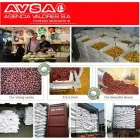 La imagen 2 de la Empresa AVSA AGENCIA VALORES S.A en Ibagué TOL