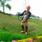 La imagen 2 de la Empresa BIOSERVICIOS S.A.S. Servicio de control de plagas en Manizales CAL
