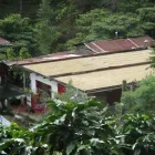 La imagen 1 de la Empresa CAFE ARROYAVE Servicios agrícolas en Bogotá CUN
