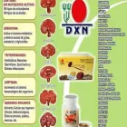 La imagen 3 de la Empresa CARLOS IBAÑEZ GANODERMA DXN Tienda de vitaminas y suplementos en Bogotá CUN
