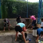 La imagen 3 de la Empresa CASA MAMÁ MARGARITA Trabajo social en Medellín ANT