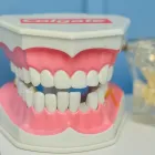 La imagen 2 de la Empresa CENTRO DE ODONTOLOGÍA ESPECIALIZADA SONREÍR Odontología en Buga VAC