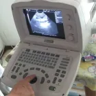La imagen 3 de la Empresa CENTRO DE SALUD VETERINARIO Veterinario en Piedecuesta SAN