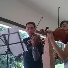 La imagen 2 de la Empresa CLASES DE VIOLÍN MEDELLÍN en Medellín ANT
