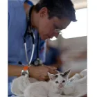 La imagen 1 de la Empresa CLÍNICA VETERINARIOS ESPECIALIZADOS Veterinario en Ibagué TOL