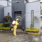 La imagen 3 de la Empresa CONTROL DE PLAGAS CAPITAL DISTRICT Servicio de control de plagas en Bogotá CUN