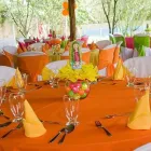 La imagen 2 de la Empresa DE FIESTA EVENTOS Tienda de suministros médicos en Cali VAC
