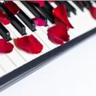 La imagen 4 de la Empresa DUETO SENTIMIENTOS Tienda de instrumentos musicales en Medellín ANT