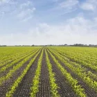 La imagen 4 de la Empresa EFIJURÍDICA S.A.S. Sociedad de compra y venta de terrenos en Barranquilla ATL