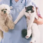 La imagen 5 de la Empresa EL ESTABLO ALMACÉN AGROPECUARIO Veterinario en Bucaramanga SAN
