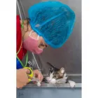 La imagen 1 de la Empresa EMERVET S.A.S. Veterinario en Cali VAC