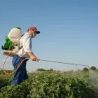 La imagen 3 de la Empresa ERRADICAR FUMIGACIONES PROFESIONALES Servicio de control de plagas en Ibagué TOL