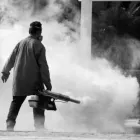 La imagen 1 de la Empresa ESG FUMIGACIONES Y SERVICIOS GENERALES Servicio de control de plagas en Ibagué TOL