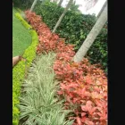 La imagen 2 de la Empresa EXTERIORES TROPICALES Servicio de diseño arquitectónico en Cali VAC