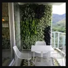 La imagen 4 de la Empresa EXTERIORES TROPICALES Servicio de diseño arquitectónico en Cali VAC