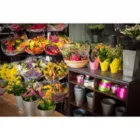 La imagen 3 de la Empresa FLORISTERÍA ANGYE Mayorista para floristerías en Yumbo VAC