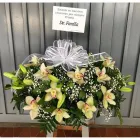 La imagen 3 de la Empresa FLORISTERÍA FEILENA Tienda navideña en Bucaramanga SAN