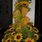 La imagen 1 de la Empresa FLORISTERÍA JARDÍN MUNDIAL Mayorista para floristerías en Medellín ANT