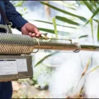 La imagen 3 de la Empresa FUMIGACIONES ABECE LTDA Servicio de control de plagas en Medellín ANT