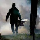 La imagen 1 de la Empresa FUMIGACIONES LÁSER Servicio de control de plagas en Cali VAC