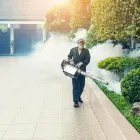 La imagen 4 de la Empresa FUMIGACIONES LEO Servicio de control de plagas en Medellín ANT