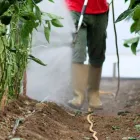 La imagen 1 de la Empresa FUMIGAR Fumigadores aéreos en Floridablanca SAN