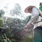 La imagen 5 de la Empresa FUMIGAR Fumigadores aéreos en Floridablanca SAN