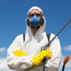 La imagen 1 de la Empresa FUMIJAPÓN Servicio de control de plagas en Medellín ANT
