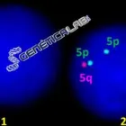 La imagen 5 de la Empresa GENÉTICA LAB S.A.S. Oncología en Medellín ANT